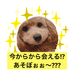 moko_20190624213457