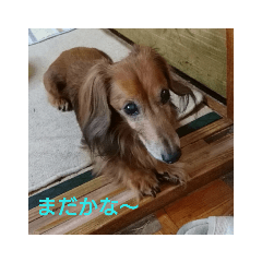 Junjun_20190624221749