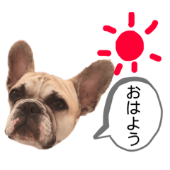 ykc_20190624215830