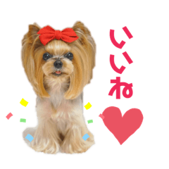 aran_20190625044244
