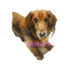 Junjun_20190625045037