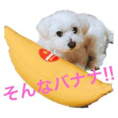 meme_20190625082236