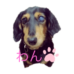 arisa_20190625091103