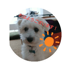 kinako_20190625100851