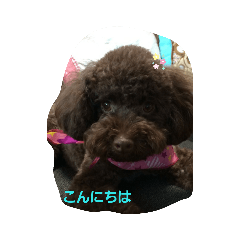 etsuko_20190625150754