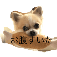 mayumi_20190625133401