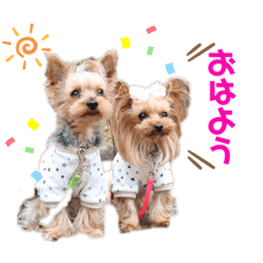 aran_20190625145100