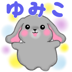 My name is YUmiko.Holland lop.