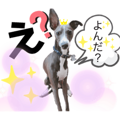 ikumi_20190625164925