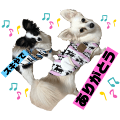 Ayumi_20190625170725