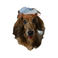 Junjun_20190625174153