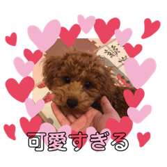 Sayuri_20190625194019