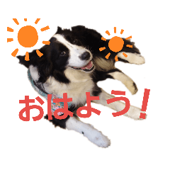 taro_20190623222019