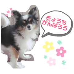 kanako_20190426135935