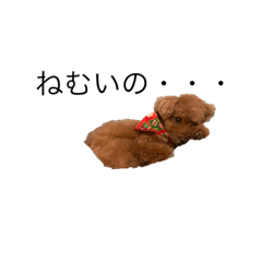 HACHI_20190625220622