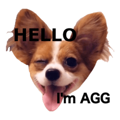I'm Agg