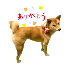 junko_20190625223449