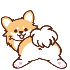 Pretty Chihuahua (animated)