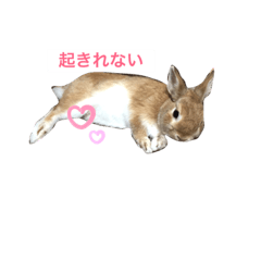 Megumi_20190625224952