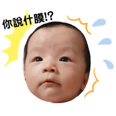 函函的表情包