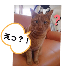 yoko_2019062519522911