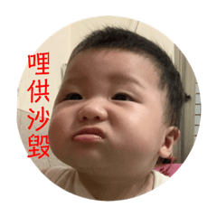 芮寶寶的日常