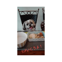 chiharu_20190626044157