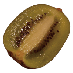 Kiwifruit1