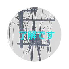 THE Japanese Japanese