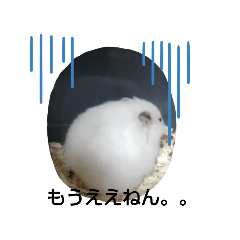 ppshizuto_20190626015702