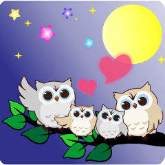 Naughty Owl 3