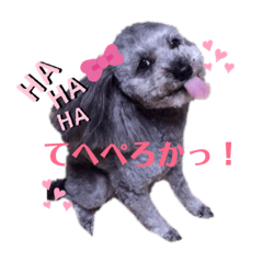 Alice in a daily life