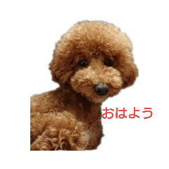 yukko_20190626215622