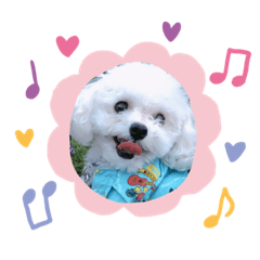 megumi_20190626204246
