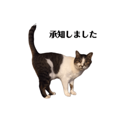 yk_20190626231837