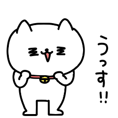 Cute cat that can be used every day