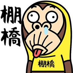 Tanahashi is a Funny Monkey