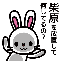 Shibahara Rabbit Sticker