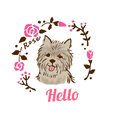 Cairn Terrier -Rose-