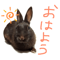 wazo_20190627003808