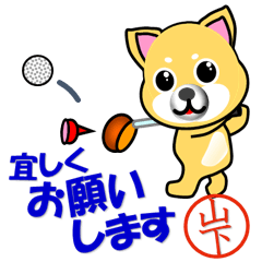 Dog called Yamashita which plays golf