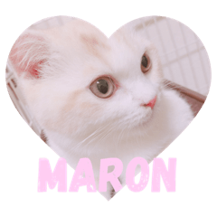 a-chan_maron