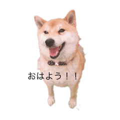 aoi1230