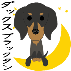 For Black and Tan DACHSHUND LOVERS