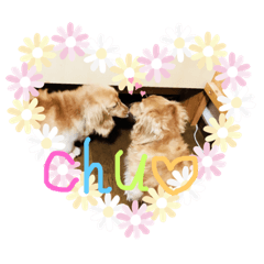 リズムモカカラフル文字スタンプ