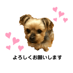 miwa_20190627200156