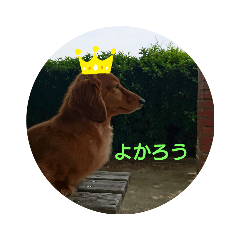 ponta_20190627205545