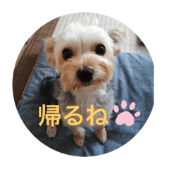 miyabi_20190627213359