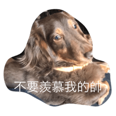 呵呵親愛的你