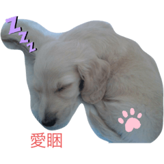 Yumi的生活日常